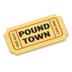 Pound Town Ball Marker