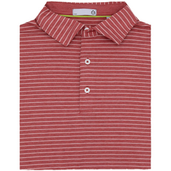 tasc-cloud-stripe-polo