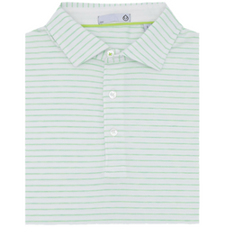 tasc-cloud-stripe-polo